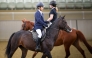 The Training Show is designed as a vital stage that empowers riders to gain practical experience in a safe and motivating competitive environment.