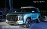 Chery Brand Night with global users in Wuhu