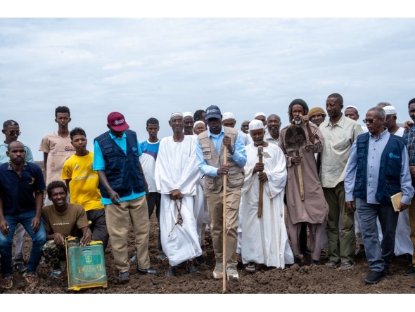 EAA Foundation, FAO launch livestock restocking initiative to strengthen food security in Sudan