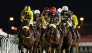 Action during the Late Sheikh Jassim Bin Mohammed Bin Thani Trophy meeting at Al Rayyan Racecourse.