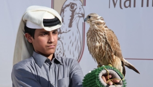 A falconer at the starting point.