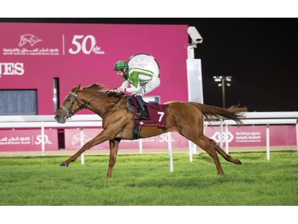 Marco Casamento guides Tiding towards the finish line to win the Khor Al Adaid Cup. PICS: Juhaim/QREC