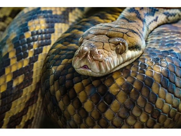 Image source: Unsplash