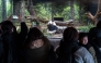 People watch the giant panda Lei Lei eat during the final day for public viewing before its departure for China, at Ueno Zoo in Tokyo on January 25, 2026. Panda twins Lei Lei and Xiao are set to return to China on January 27, leaving Japan without a panda for the first time since the two Asian giants normalised the diplomatic ties in 1972.(Photo by Philip FONG / AFP)