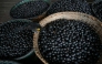 (Files) A bird eats an acai berry from a basket on the boat of merchant Evandro Santos, 38, resident of the riverside community of Sao Jose, in Melgaco, Brazil, on June 11, 2020. (Photo by Tarso SARRAF / AFP)
