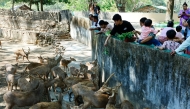 
People feed deer at the Yangon Zoological Gardens, the oldest zoo in Myanmar, celebrated its 120th anniversary on Saturday, January 31, 2026 (Xinhua/Myo Kyaw Soe)