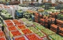 A view of the agricultural produce at the market. 