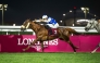 Lukas Delozier rides Nasser Al Shahania to Eraida Cup win. PIC: Juhaim/QREC 