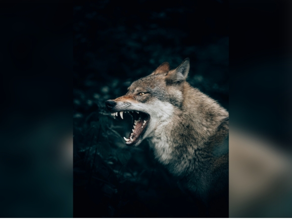 Representational photo