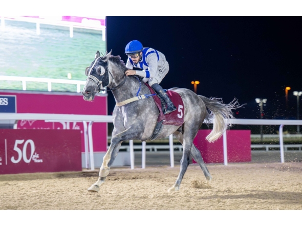 Marco Casamento guides Ghanem to Rodat Al Maida Cup victory at Al Rayyan Racecourse yesterday. PIC: Juhaim/QREC 