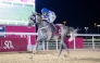 Marco Casamento guides Ghanem to Rodat Al Maida Cup victory at Al Rayyan Racecourse yesterday. PIC: Juhaim/QREC 