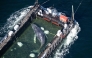 (Files) Aerial photo taken on April 29, 2026, shows the rescued humpback whale in a special barge along the Danish coastline enroute back to the North Sea after it beached on a sandbank near the city of Luebeck, in late March. (Photo by Philip Dulian / dpa / AFP) /