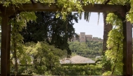  University of Granada