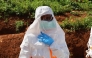 A medical worker puts on protective suits before the burial of an Ebola victim in Mongbwalu, Ituri province, eastern Democratic Republic of the Congo (DRC), May 24, 2026. Photo for representational purposes only. (Str/Xinhua)