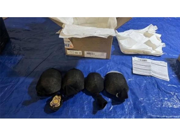 The turtles were tied in knotted socks when US officials found them (Photo from U.S. Fish and Wildlife Service)