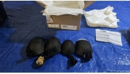 The turtles were tied in knotted socks when US officials found them (Photo from U.S. Fish and Wildlife Service)