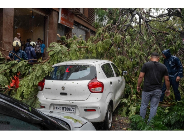 Civic-authority workers clear the road, blocked by uprooted trees following strong winds and heavy rainfall in Mumbai on July 5, 2026. (Photo by Punit Paranjpe / AFP