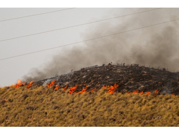 Flames stretching along a hillside are pictured in the area of a wildfire that killed at least 12 people near Bedar, in Los Gallardos district, in Almeria Province, on July 11, 2026.  (Photo by JORGE GUERRERO / AFP)