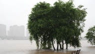 This photo taken on July 13, 2026 shows trees submerged in floodwaters by the Hunhe River in Shenyang, northeast China's Liaoning Province. Due to recent downpours, the water level at the Shenyang Hydrological Station on the Hunhe River reached 37.99 meters. (Xinhua/Li Gang)