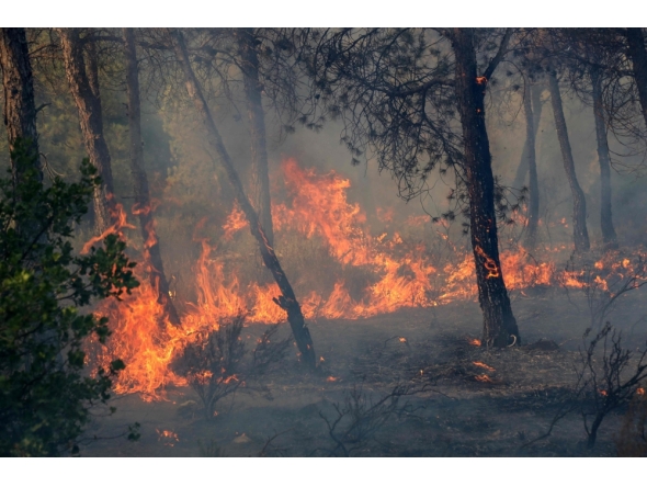 A wildfire rages in a mountainous area near the town of Al Hachimia, Bouira Province, on July 21, 2026. (Photo by AFP)