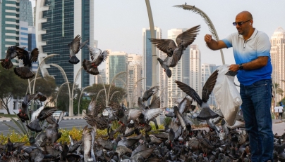 A man feeds pigeons on a lawn near high-rise buildings along the Doha corniche waterfront on August 4, 2026. (Photo by KARIM JAAFAR / AFP)
