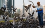 A man feeds pigeons on a lawn near high-rise buildings along the Doha corniche waterfront on August 4, 2026. (Photo by KARIM JAAFAR / AFP)
