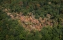 (FILES) This aerial photograph shows water-stressed trees affected by prolonged drought and heatwave above Concise, western Switzerland, on August 4, 2026. 
(Photo by Fabrice COFFRINI / AFP)