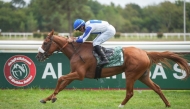 Jockey Alexandre Gavilan guides Fakhira towards the finish line. 