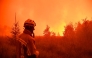 This handout photograph taken on August 15, 2026 and released on August 17, 2026 by VHP shows a firefighter looking at wildfire in the Hautes Fagnes (High Fens) nature reserve. Photo by HANDOUT / VHP / AFP