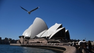 A seagull flies towards the Sydney Opera House in Sydney on August 24, 2026. (Photo by Saeed KHAN / AFP)