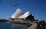 A seagull flies towards the Sydney Opera House in Sydney on August 24, 2026. (Photo by Saeed KHAN / AFP)
