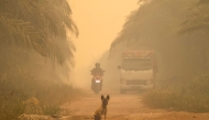 A dog sits in the middle of a haze-shrouded road caused by forest and land fires in Palangkaraya city, Central Kalimantan, on August 28, 2026. (Photo by REINA / AFP)