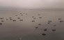 Aerial view shows anchovy fishing boats anchored off the coast in front of the Constitutional Province of Callao, Peru on August 31, 2026. (Photo by Ernesto BENAVIDES / AFP)
 