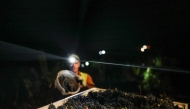 Workers from Herdade das Servas winery take part in a night grape harvesting in Estremoz on September 3, 2026. (Photo by Patricia De Melo Moreira / AFP)
