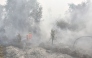 Firefighters extinguish forest and land fires in Banjar, South Kalimantan, on September 21, 2026. Toxic haze has shrouded parts of Indonesia, Malaysia and Singapore for weeks as Jakarta struggles to contain fires that have scorched large tracts of Borneo and Sumatra, with the smoke drifting across the region. (Photo by Muda Sagala/ AFP)