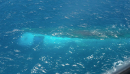 File photo of the sunken ferry.