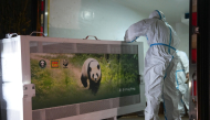 Staff members transfer giant panda Ping Ping at the Chengdu Research Base of Giant Panda Breeding in Chengdu, southwest China's Sichuan Province, Sept. 26, 2026. (Xinhua/Xu Bingjie)