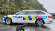 This handout image taken on September 27, 2026 and released by the New Zealand Police on September 28 shows a seal crossing a road in Wellington. Photo by Handout / NEW ZEALAND POLICE / AFP