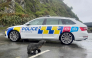 This handout image taken on September 27, 2026 and released by the New Zealand Police on September 28 shows a seal crossing a road in Wellington. Photo by Handout / NEW ZEALAND POLICE / AFP