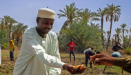 Abakar Mahamat Bodou, a farmer in Chad's Lac Province, shows off his produce. Photo: UNOCHA/Shariqa Habib.