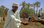 Abakar Mahamat Bodou, a farmer in Chad's Lac Province, shows off his produce. Photo: UNOCHA/Shariqa Habib.