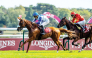 Christophe Soumillon rides Fakhira during the Gr.1 (PA) Qatar Arabian Trophy des Juments.  