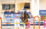 Abdulaziz Fahad Al-Eid and Q-Hayen in action during the Diamond Tour competition.