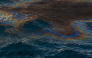 Photo shared by the Ministry of Climate Change and Environment - UAE