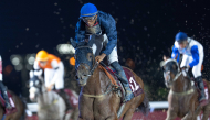 Jockey Arnaud De Lepine guides Umm Wishah to Al Beshariyah Cup win. PICS: JUHAIM/QREC