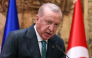 Turkey's President Recep Tayyip Erdogan speaks during a press conference with his Ukrainian counterpart at the Presidency Working Office in Dolmabahce, in Istanbul on October 31, 2026. (Photo by BERK OZKAN / AFP)

