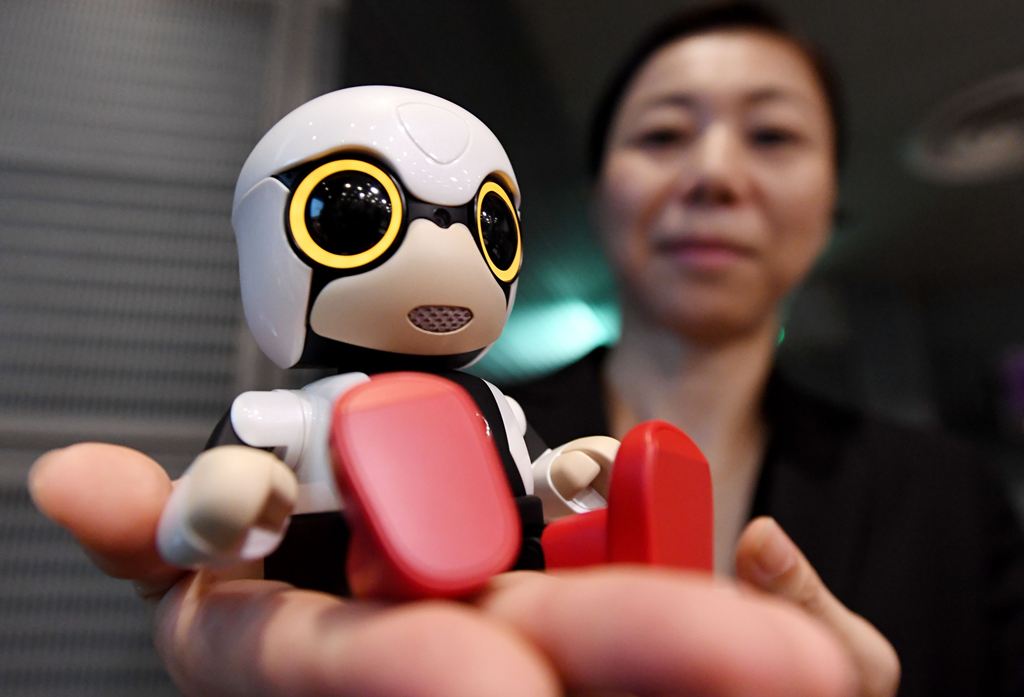 A Toyota employee displaying the company's new communication robot 'Kirobo Mini' during a press preview in Tokyo.(AFP / TOSHIFUMI KITAMURA)