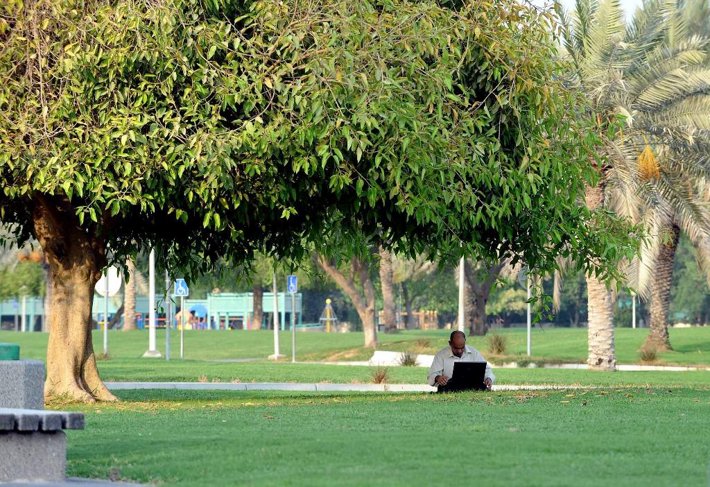 File photo of a man browsing the internet at a park near the Sheraton Hotel in Doha. 

