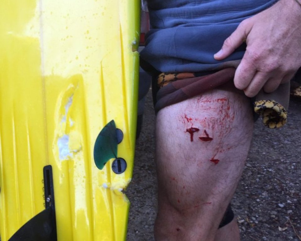 Photo: Liz Burke / Twitter.