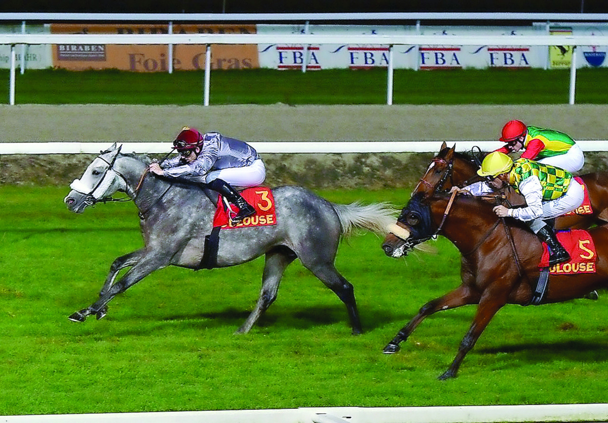 Al Shaqab Racing-owned by Khataab heading the race to win the French Arabian Breeders’ Challenge Classic (Gr2 PA), a race for 4-year-olds over 2,000 meters, in Toulouse, France on Thursday.